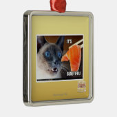 Es ist schön! silbernes ornament (Rechts)