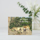 Es ist schwer König zu sein - Bild vom Löwenschlaf Postkarte (Stehend Vorderseite)