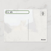 Es ist schwer König zu sein - Bild vom Löwenschlaf Postkarte (Rückseite)