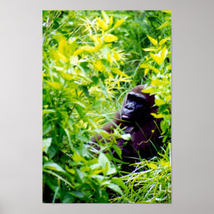 Es ist seltsam, ein großer Affe zu sein. Poster