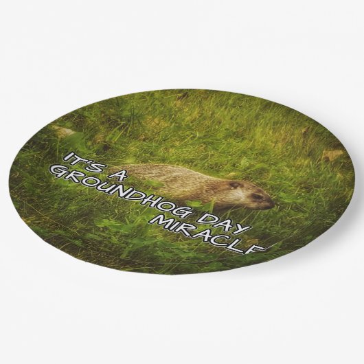 Es ist Teller eines groundhog Tageswunders (Schrägansicht)