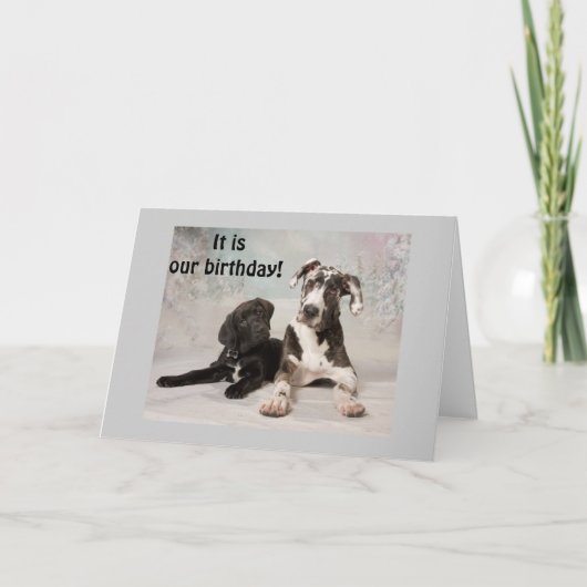 ES IST "UNSER" GEBURTSTAG-GROSSER TAG! KARTE (Vorderseite)