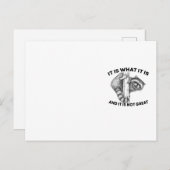 Es ist, was es ist, und es ist nicht groß Raccoon Postkarte (Vorne/Hinten)