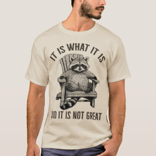 "Es ist was es ist und es ist nicht großartig" Was T-Shirt