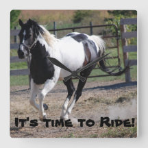 Es ist Zeit, ein Pferd zu reiten