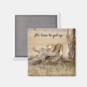 Es ist Zeit, Lion Foto mit Text aufzustehen Magnet (Vorderseite/Rückseite)