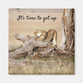 Es ist Zeit, Lion Foto mit Text aufzustehen Magnet