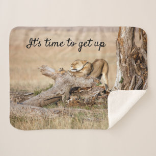 Es ist Zeit, Lion Foto mit Text aufzustehen Sherpadecke