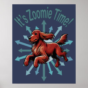 Es ist Zoomie Zeit Irish Setter Poster