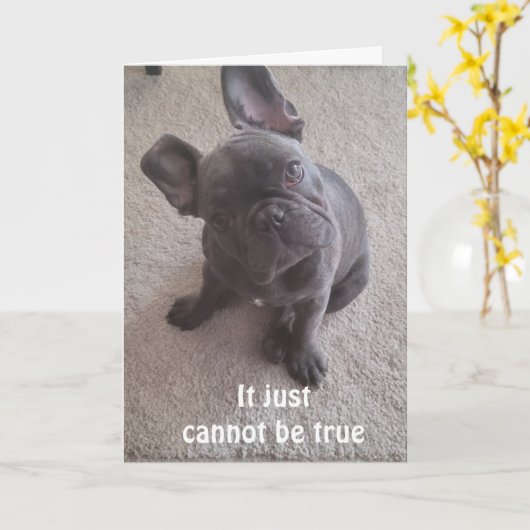 *ES KANN NICHT WAHR SEIN** 21. KARTE (Gelbe Blume)