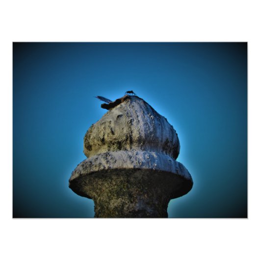 "Es lebt von Sonnenuntergang" Fotodruck (Vorne)