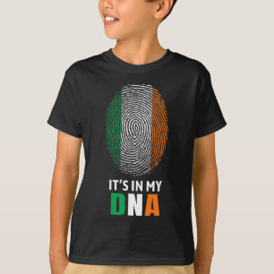 Es liegt in meiner DNA Irland Irische Flagge Gesch T-Shirt