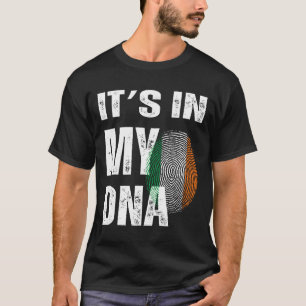 Es liegt in meiner DNA Irland Irische Flagge Gesch T-Shirt