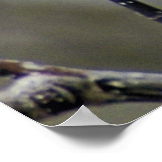 Es muss Frühling sein, Tulip Tree in Bloom Poster (Ecke)