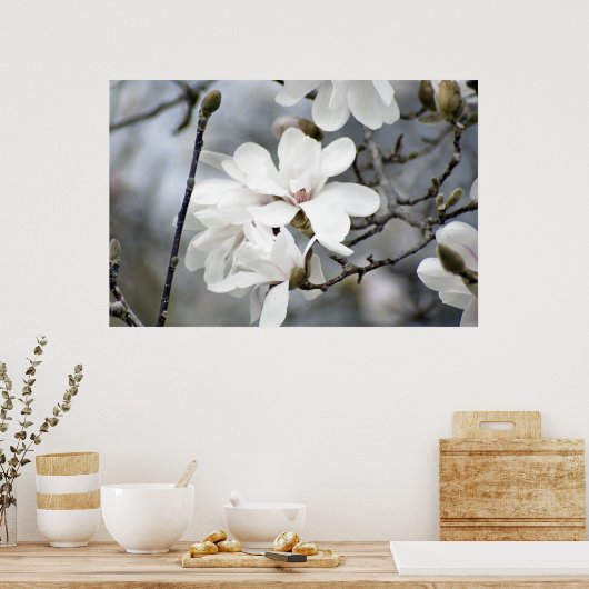 Es muss Frühling sein, Tulip Tree in Bloom Poster (Küche)