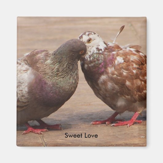 Es muss Liebe sein Magnet (Vorne)