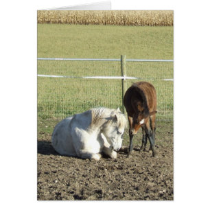 Es nimmt Gedulds-Karte