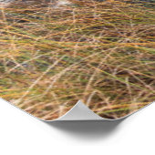 Es Pujols Beach Poster (Ecke)
