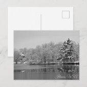 Es schneit über den See, einfarbig Illinois Postkarte (Vorne/Hinten)