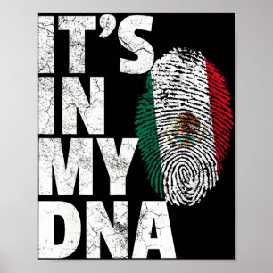 Es Steckt In Meiner Dna Mexikanisch Mexiko Flagge Poster
