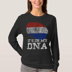 Es Steckt In Meiner Dna Paraguay Landesflagge Vint T-Shirt