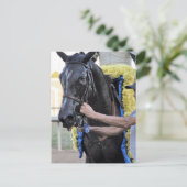 Es Tiz gut, Cotillion Gewinner Postkarte (Stehend Vorderseite)