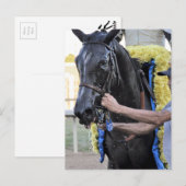 Es Tiz gut, Cotillion Gewinner Postkarte (Vorne/Hinten)