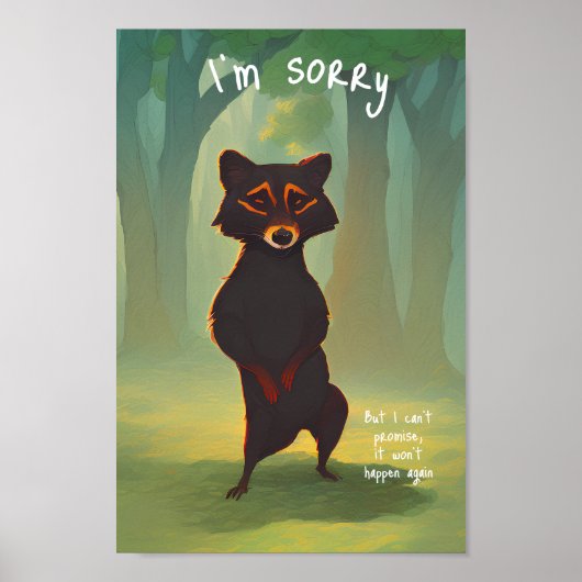 Es tut mir leid, aber ich kann nicht versprechen, poster (Vorne)