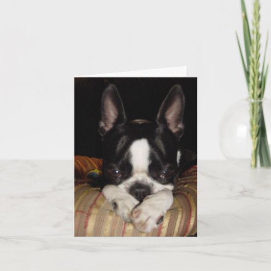 Es tut mir leid Anmerkungskarte Karte (Vorderseite)