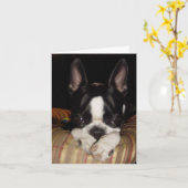 Es tut mir leid Anmerkungskarte Karte (Gelbe Blume)