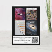 Es tut mir leid...Bananenschale Karte (Rückseite)