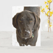 Es tut mir leid, dass das Foto des Schokolade-Labr Karte (Gelbe Blume)