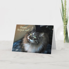 Es tut mir leid, dass die Cat Zorro Card unwiderst Karte