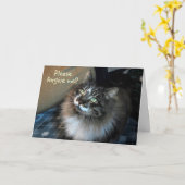 Es tut mir leid, dass die Cat Zorro Card unwiderst Karte (Gelbe Blume)