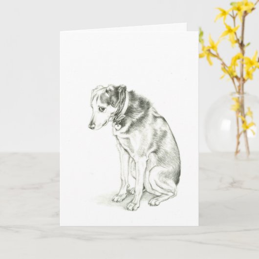 "Es tut mir leid" Dixie Karte (Gelbe Blume)