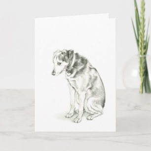 "Es tut mir leid" Dixie Karte