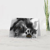 Es tut mir leid Funny Verse mit Niedlichem Labrado Karte (Vorderseite)