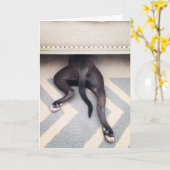 Es tut mir leid Grußkarte Karte (Gelbe Blume)