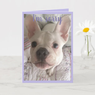 Es tut mir leid, HANGRY Card Französischer Bulldog Karte