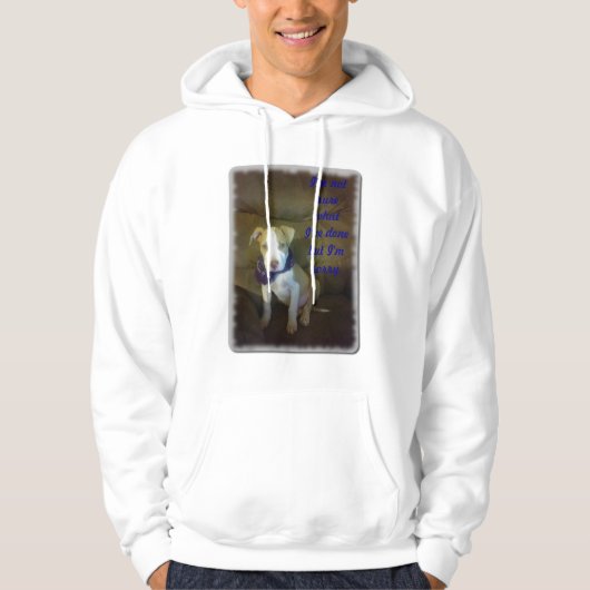 Es tut mir leid hoodie (Vorderseite)