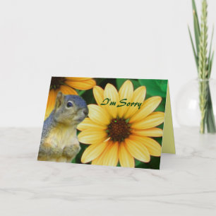 Es tut mir leid/irgendeine Occasion_ Karte