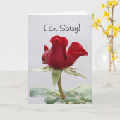 Es tut mir leid karte (Gelbe Blume)