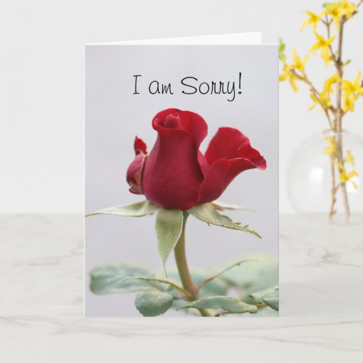 Es tut mir leid karte (Gelbe Blume)