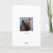 Es tut mir leid karte (Rückseite)