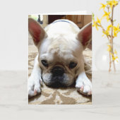 Es tut mir leid. karte (Gelbe Blume)