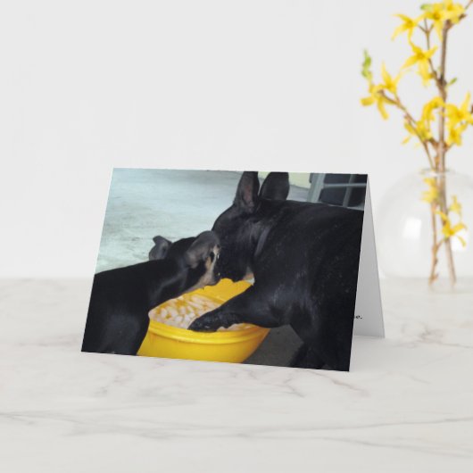 Es tut mir leid karte (Gelbe Blume)