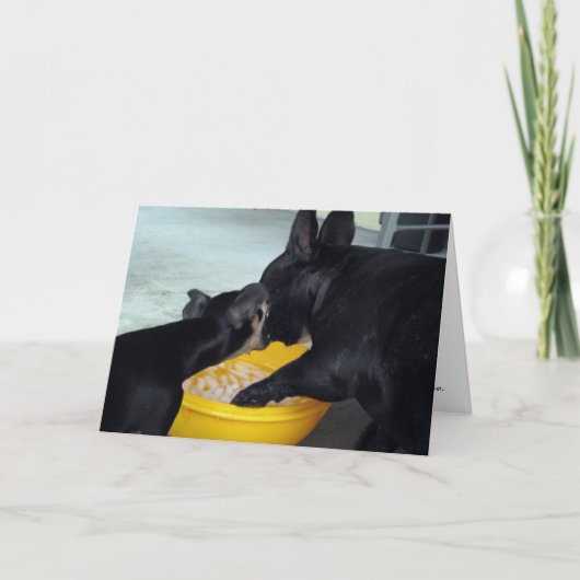 Es tut mir leid karte (Vorderseite)