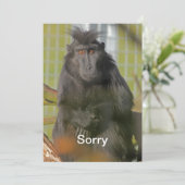 Es tut mir leid karte (Stehend Vorderseite)