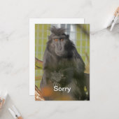 Es tut mir leid karte (Vorderseite/Rückseite Beispiel)