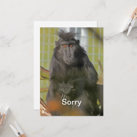 Es tut mir leid karte (Vorderseite/Rückseite Beispiel)